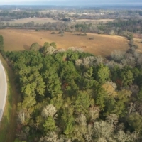 Sandy Branch Ranch images 4