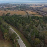 Sandy Branch Ranch images 5
