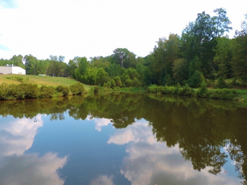 Grey Land Farm featured image