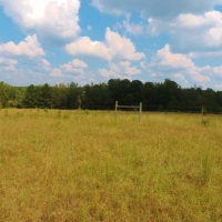 Grey Land Farm images 3