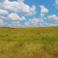 Grey Land Farm images 5