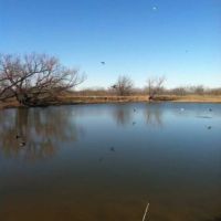 Private Duck Lease