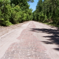 Brick Road Mitigation Bank images 3