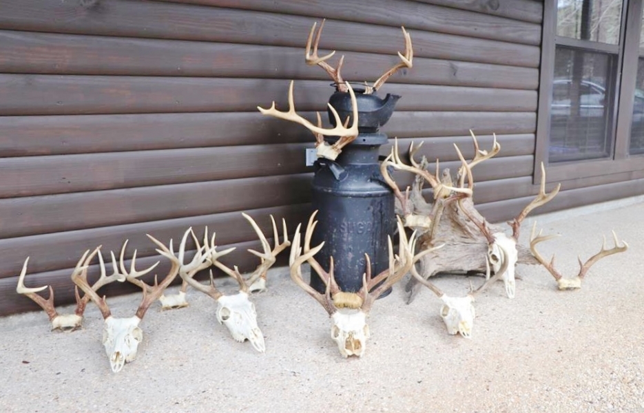 Cabin  72 Acres Hunting Land for Sale Jasper Co  MS featured image