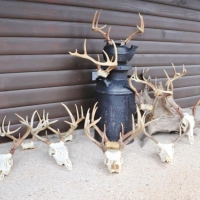 Cabin  72 Acres Hunting Land for Sale Jasper Co  MS