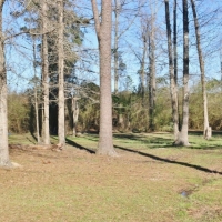 Cabin  72 Acres Hunting Land for Sale Jasper Co  MS images 3