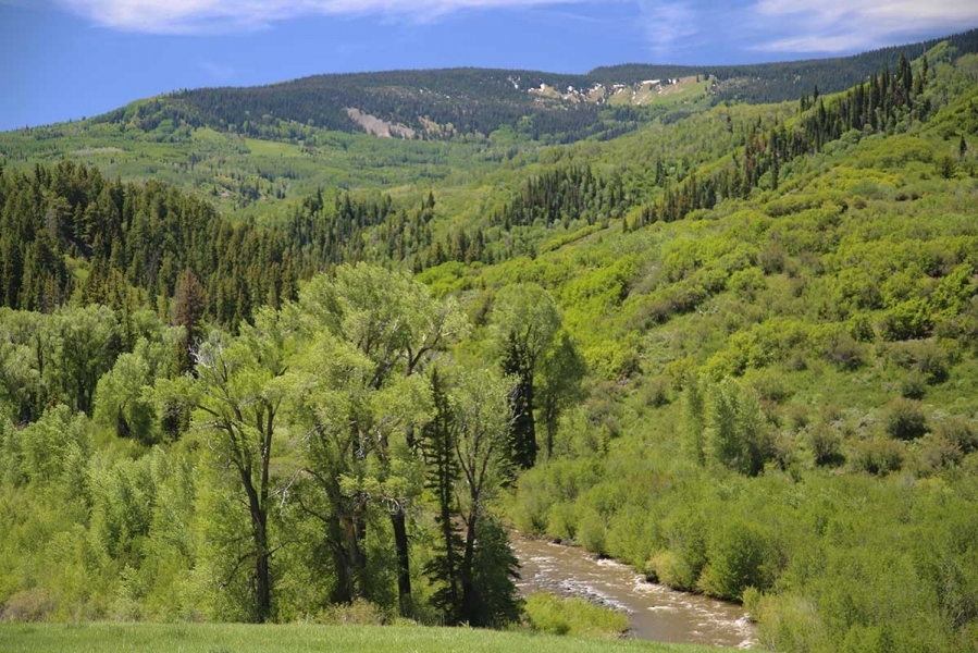 Egry Mesa Ranch featured image