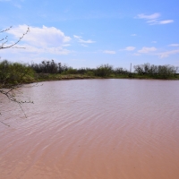 Baylor Co TX 2 246 Acres images 2