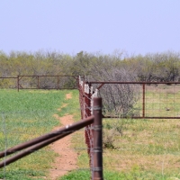 Baylor Co TX 2 246 Acres images 4