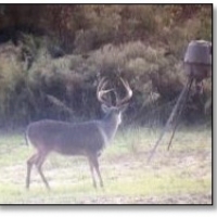 196.82 Acres in Madison County in Camden  MS images 2