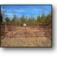 196.82 Acres in Madison County in Camden  MS images 3