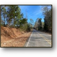 196.82 Acres in Madison County in Camden  MS images 4