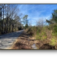 196.82 Acres in Madison County in Camden  MS images 6