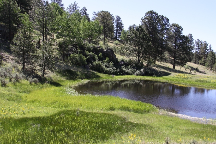 Stunning Ranch with Water Rights Bordering BLM For Sale in Cripple Creek  CO featured image