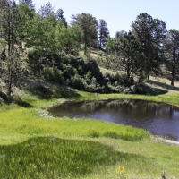 Stunning Ranch with Water Rights Bordering BLM For Sale in Cripple Creek  CO