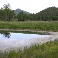 Stunning Ranch with Water Rights Bordering BLM For Sale in Cripple Creek  CO images 2