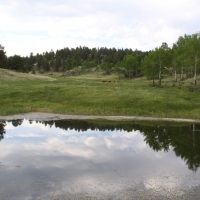Stunning Ranch with Water Rights Bordering BLM For Sale in Cripple Creek  CO images 3