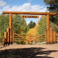 Stunning Ranch with Water Rights Bordering BLM For Sale in Cripple Creek  CO images 4