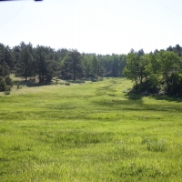 Stunning Ranch with Water Rights Bordering BLM For Sale in Cripple Creek  CO images 6