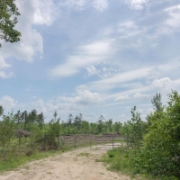 151 Acres &nbsp; Hwy 69 images 4