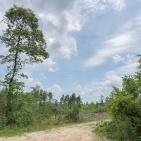 151 Acres &nbsp; Hwy 69 images 6