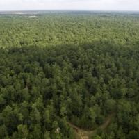 351 Acres &nbsp; Timber Switch Road images 2