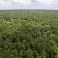 351 Acres &nbsp; Timber Switch Road images 4