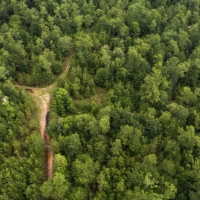 351 Acres &nbsp; Timber Switch Road images 6