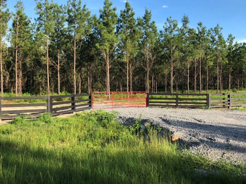 20 Acre Springhaven Farm Hunting Land for Sale