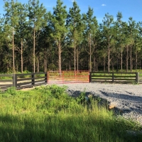 20 Acre - Springhaven Farm images 2