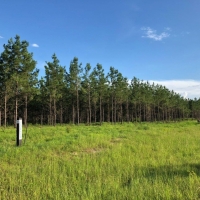 20 Acre - Springhaven Farm images 3