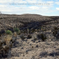 2793 &nbsp; - acre Hunting Ranch images 5