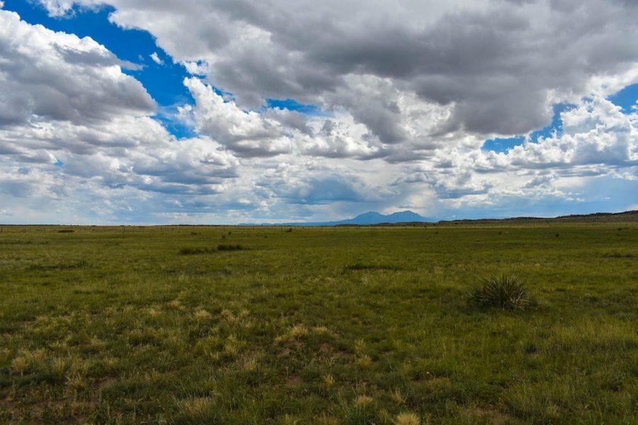 LOT 128 TURKEY RIDGE RANCH featured image