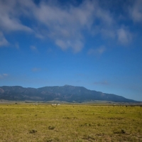 TBD PEAKVIEW RD 107 images 2