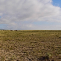 TBD PEAKVIEW RD 107 images 5