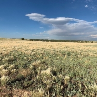 LOT 6 GHOST RIVER RANCH images 2