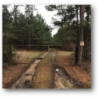 113 Acres in Jefferson Davis County in Prentiss  MS images 2