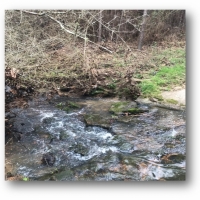 113 Acres in Jefferson Davis County in Prentiss  MS images 4