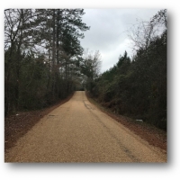 113 Acres in Jefferson Davis County in Prentiss  MS images 5