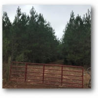 113 Acres in Jefferson Davis County in Prentiss  MS images 6
