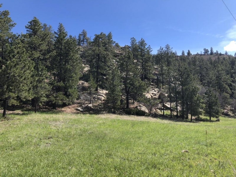 54 55 Cimarron Ranches Phase 1  Weston CO featured image
