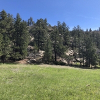 54 55 Cimarron Ranches Phase 1  Weston CO