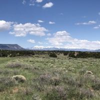 TBD CR 530 images 3