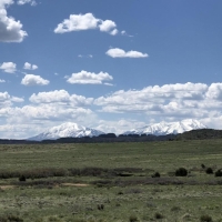 TBD CR 530 images 4