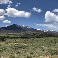 TBD CR 530 images 6