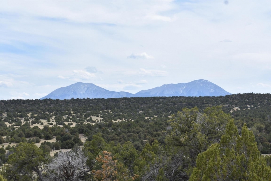 Twin Lakes Ranches 87 &nbsp; 119 featured image
