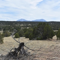 Twin Lakes Ranches 87 &nbsp; 119 images 2
