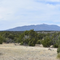 Twin Lakes Ranches 87 &nbsp; 119 images 3