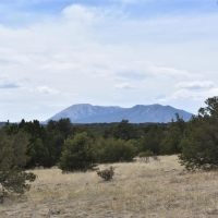 Twin Lakes Ranches 87 &nbsp; 119 images 4