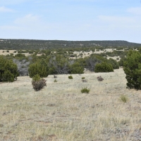 Twin Lakes Ranches 87 &nbsp; 119 images 6